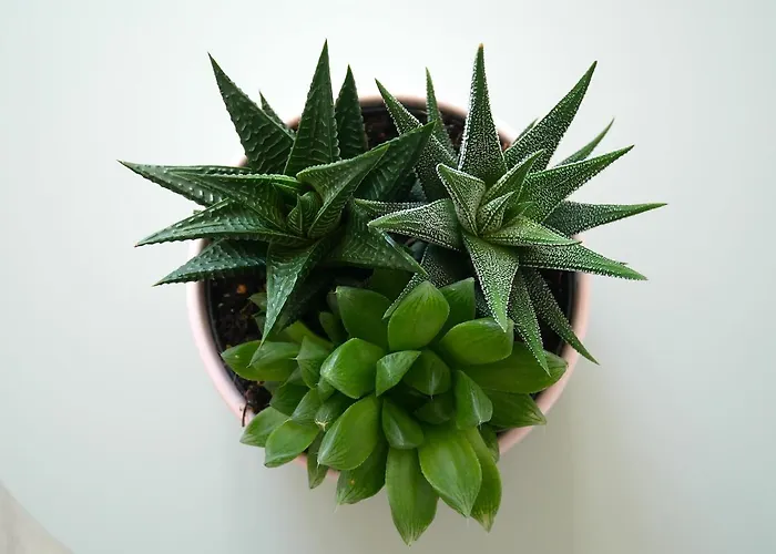 Botanic Garden Cosy, Parking, Metro דירה טולוז